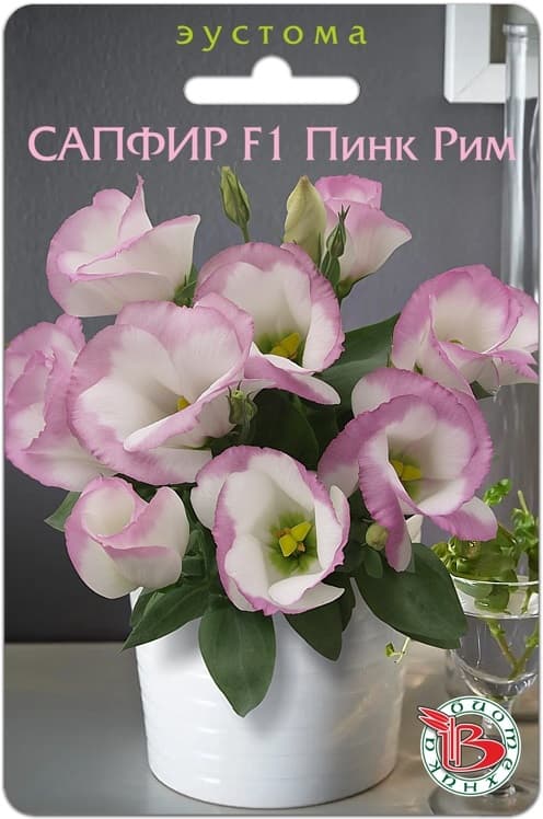 Фото – Эустома горшечная Сапфир F1 Пинк Рим