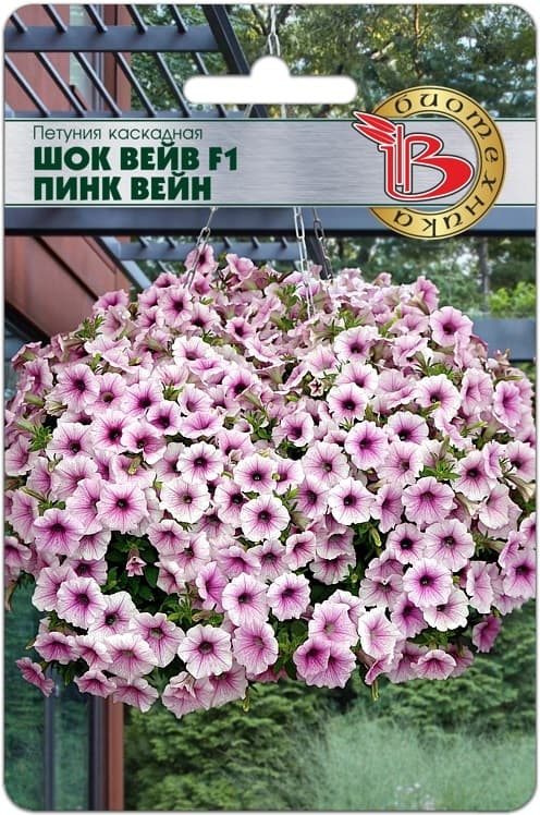 Фото – Петуния каскадная Шок Вейв F1 Пинк Вейн