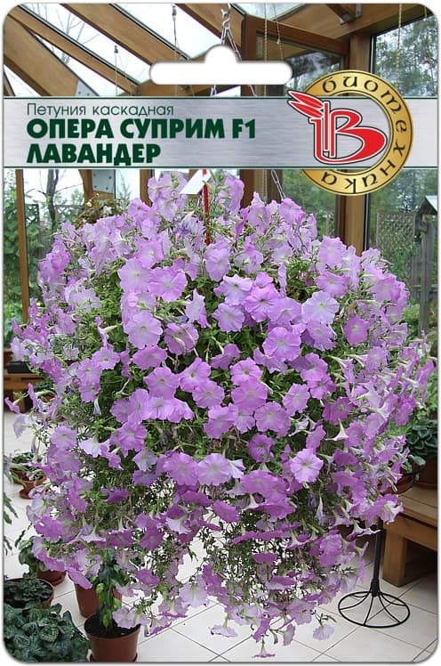 Фото – Петуния каскадная Опера Суприм F1 Лавандер