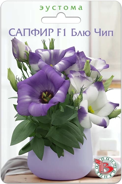 Фото – Эустома горшечная Сапфир F1 Блю Чип