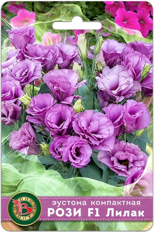 Фото – Эустома компактная махровая Рози F1 Лилак