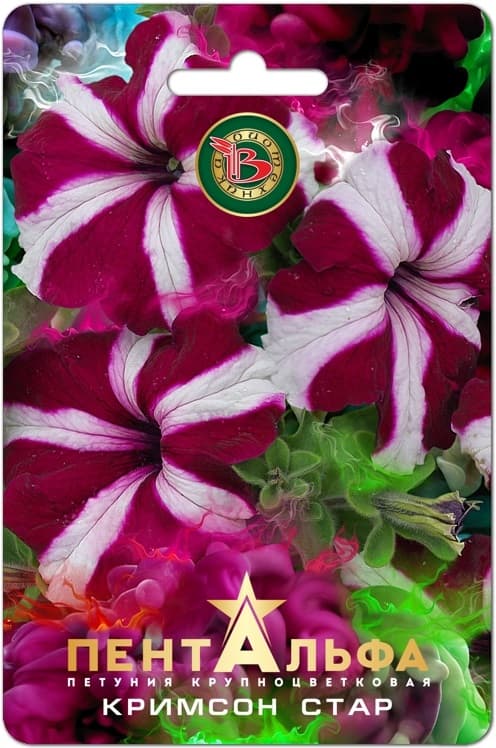 Фото – Петуния Пентальфа F1 Кримсон Стар