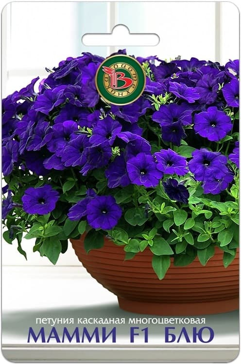 Фото – Петуния каскадная многоцветковая Мамми F1 Блю