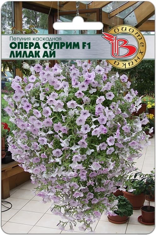 Фото – Петуния каскадная Опера Суприм F1 Лилак Ай