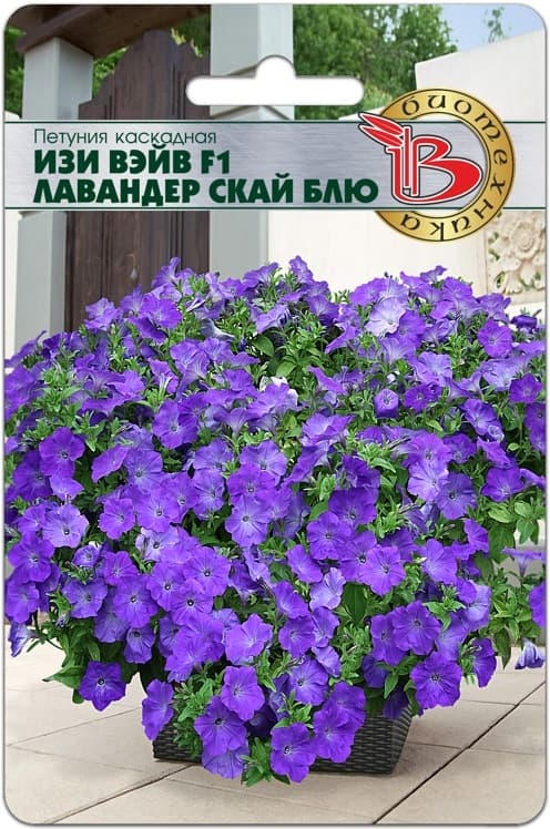 Фото – Петуния каскадная Изи Вэйв F1 Лавандер Скай Блю