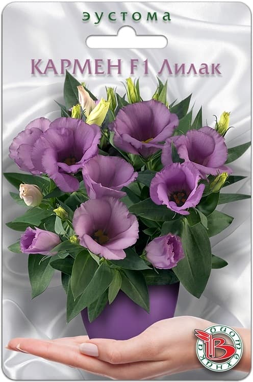 Фото – Эустома горшечная Кармен F1 Лилак
