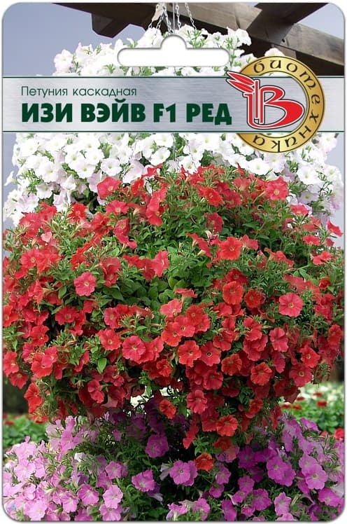 Фото – Петуния каскадная Изи Вэйв F1 Ред