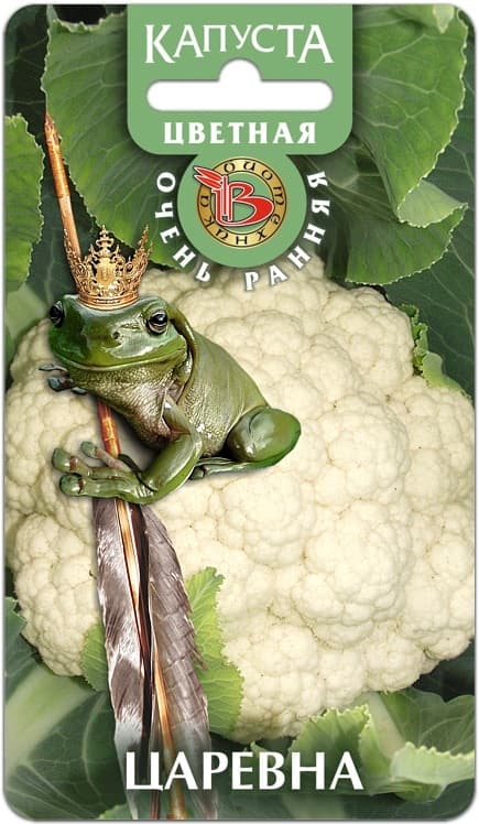 Фото – Капуста цветная Царевна