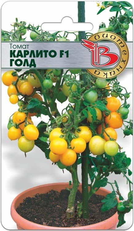 Фото – Томат Карлито F1 Голд