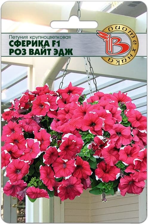 Фото – Петуния крупноцветковая Сферика F1 Роз Вайт Эдж