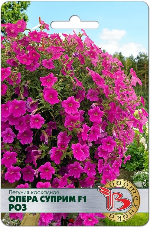 Фото – Петуния каскадная Опера Суприм F1 Роз