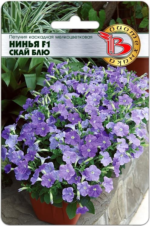 Фото – Петуния каскадная мелкоцветковая Нинья F1 Скай Блю
