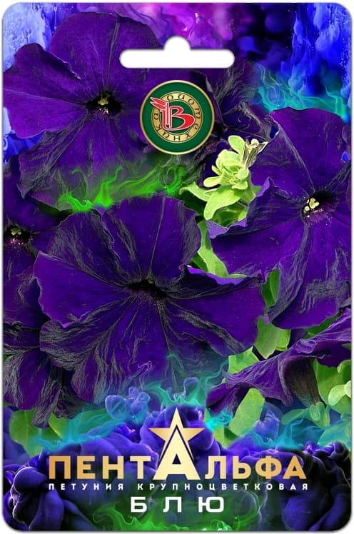 Фото – Петуния Пентальфа F1 Блю