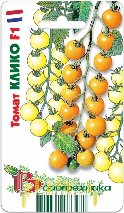 Фото – Томат Клико F1