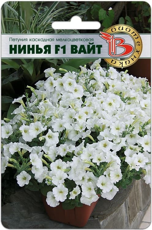 Фото – Петуния каскадная мелкоцветковая Нинья F1 Вайт