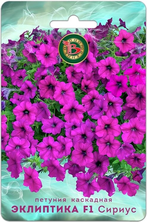 Фото – Петуния каскадная Эклиптика F1 Сириус