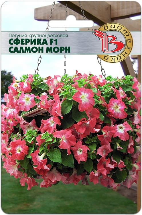 Фото – Петуния крупноцветковая Сферика F1 Салмон Морн