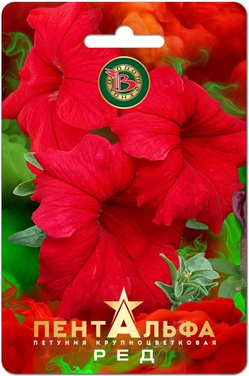 Фото – Петуния Пентальфа F1 Ред