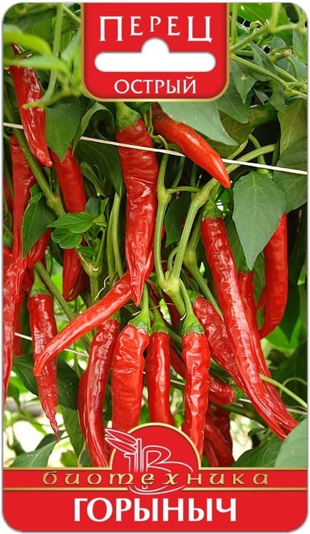 Фото – Перец острый Горыныч