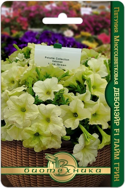 Фото – Петуния многоцветковая Дебонэйр F 1 Лайм Грин
