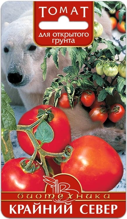 Фото – Томат Крайний Север