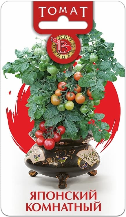 Фото – Томат Японский комнатный