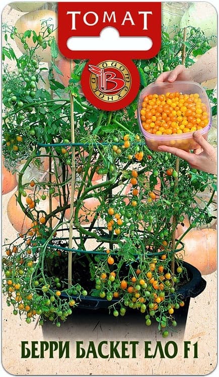 Фото – Томат Берри Баскет F1 Ело