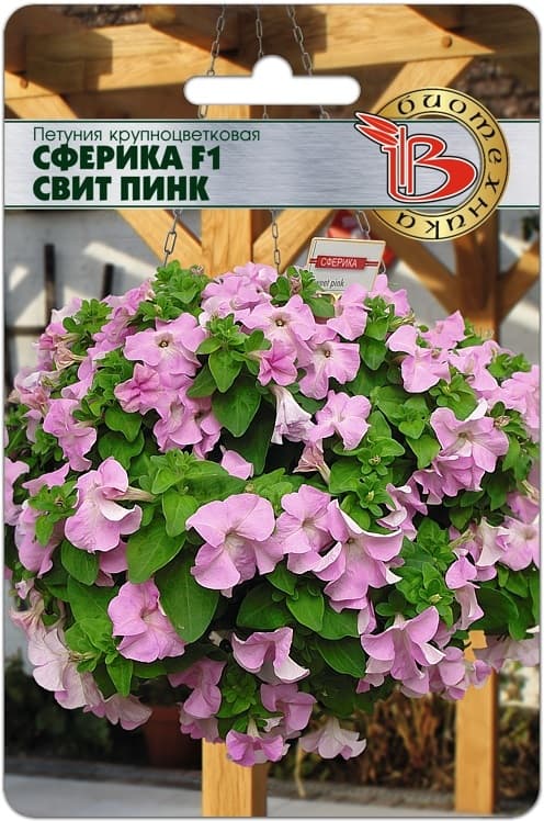 Фото – Петуния крупноцветковая Сферика F1 Свит Пинк
