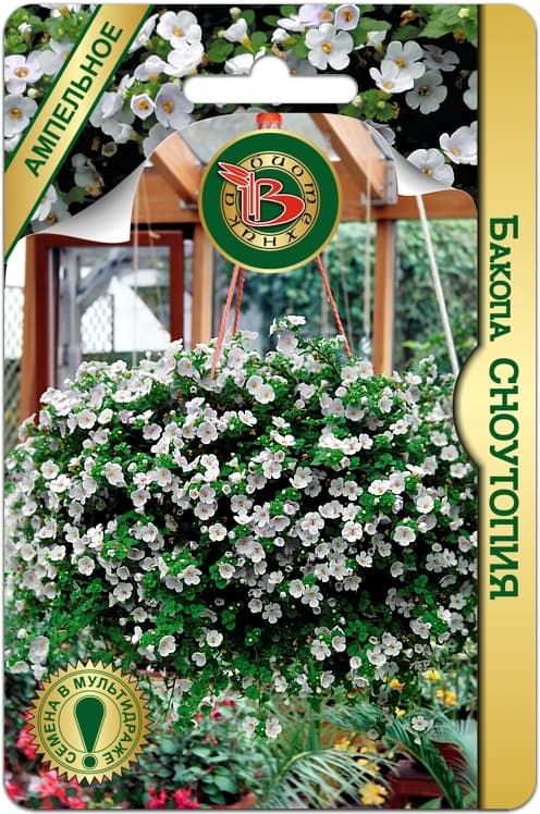 Фото – Бакопа Сноутопия