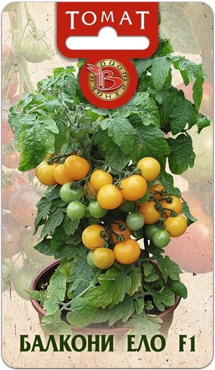 Фото – Томат декоративный Балкони Ело F1