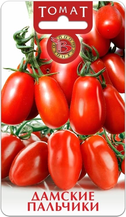 Фото – Томат Дамские пальчики