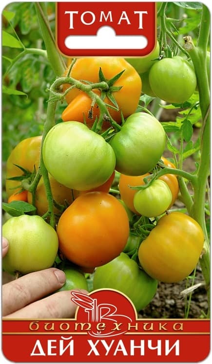 Фото – Томат Дей Хуанчи