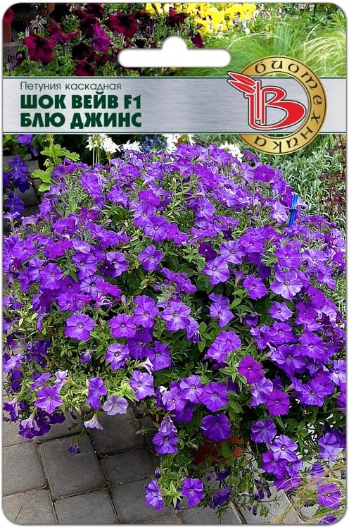 Фото – Петуния каскадная Шок Вейв F1 Блю Джинс