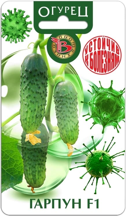 Фото – Огурец Гарпун F1