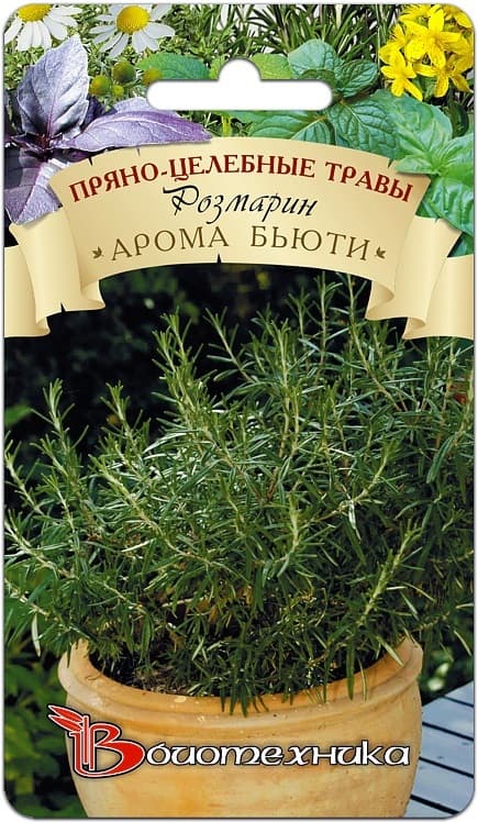 Фото – Розмарин Арома Бьюти