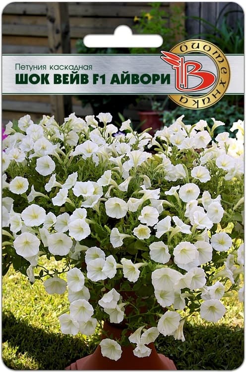 Фото – Петуния каскадная Шок Вейв F1 Айвори