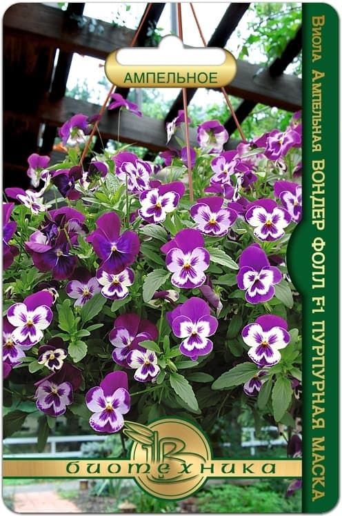 Фото – Виола ампельная Вондер Фолл F1 Пурпурная Маска