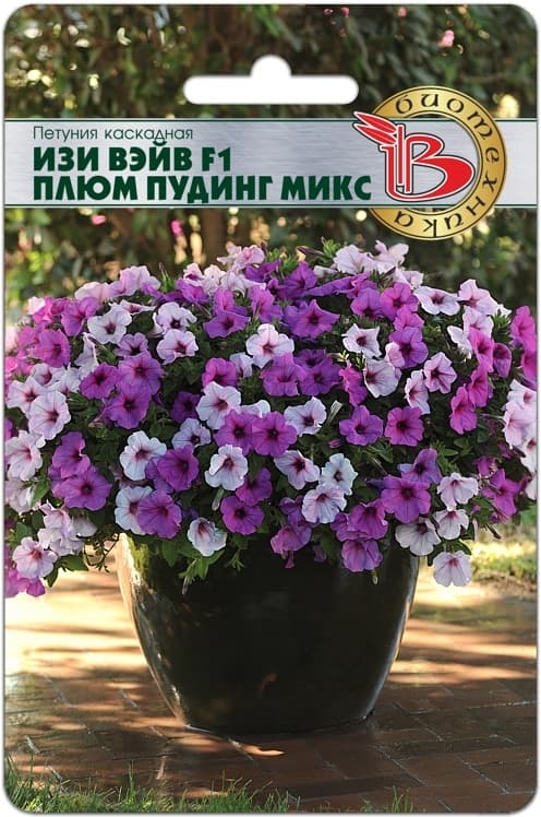 Фото – Петуния каскадная Изи Вэйв F1 Плюм Пудинг Микс