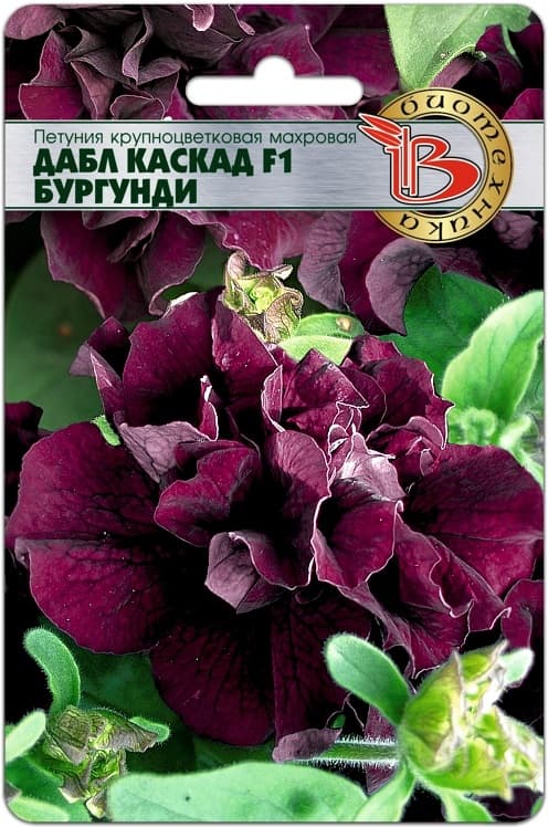 Фото – Петуния крупноцветковая махровая Дабл Каскад F1 Бургунди