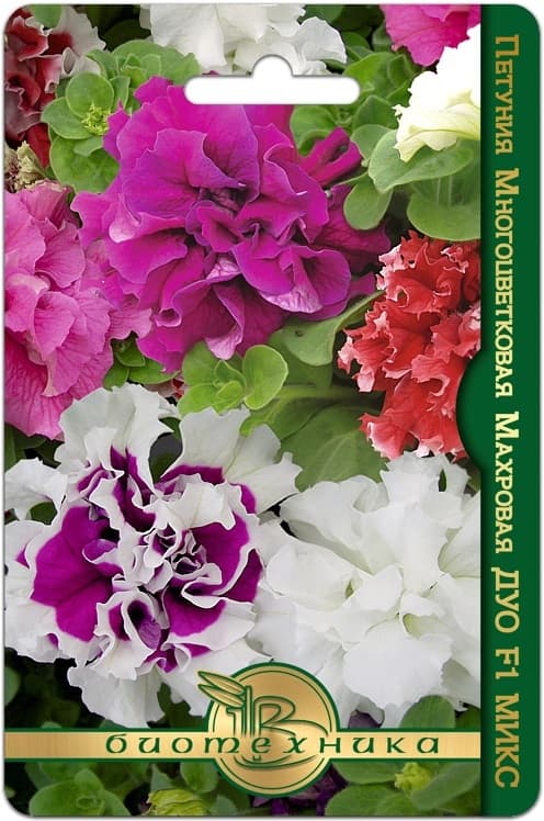 Фото – Петуния многоцветковая махровая Дуо F1 Микс