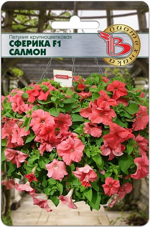 Фото – Петуния крупноцветковая Сферика F1 Салмон