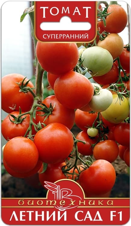 Фото – Томат Летний Сад F1