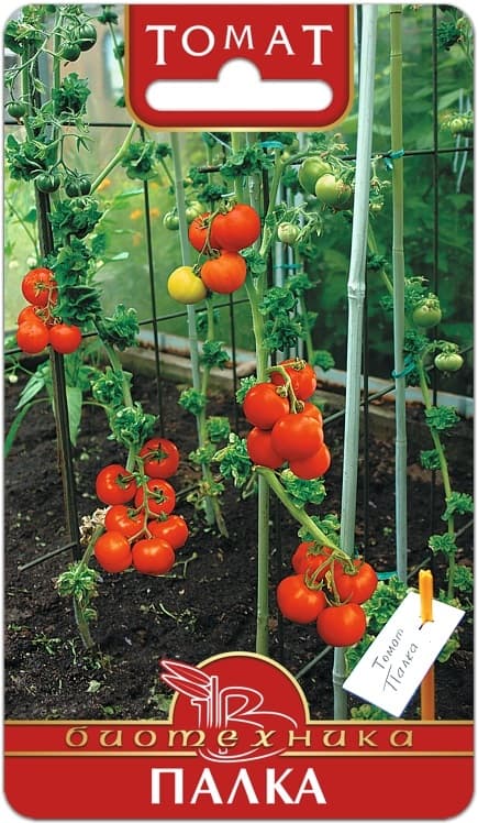 Фото – Томат Палка