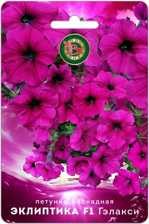 Фото – Петуния каскадная Эклиптика F1 Гэлакси