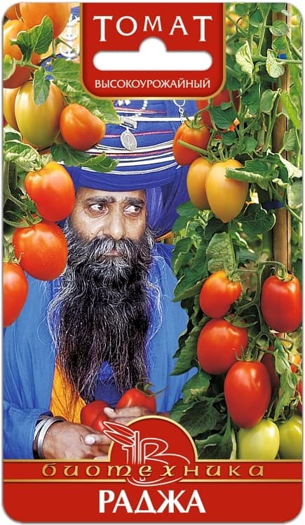Фото – Томат Раджа