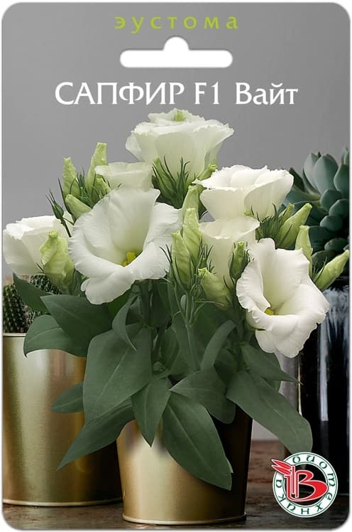Фото – Эустома горшечная Сапфир F1 Вайт