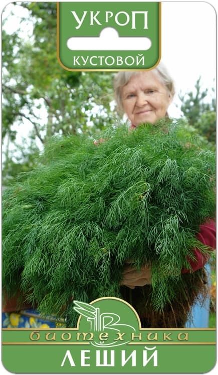 Фото – Укроп Леший