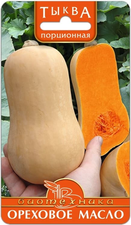 Фото – Тыква порционная Ореховое Масло
