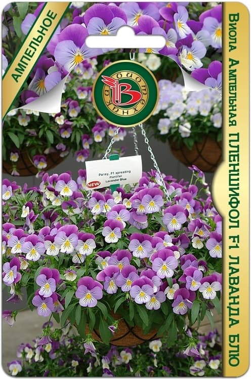 Фото – Виола ампельная Пленшифол F1 Микс