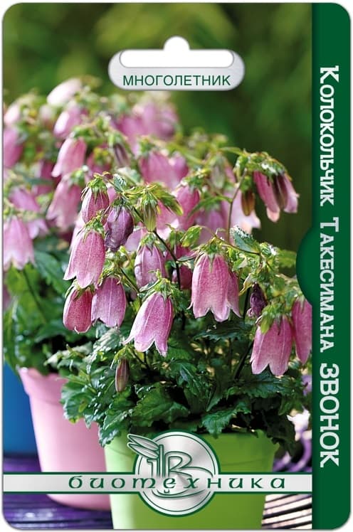 Фото – Колокольчик Такесимана Звонок